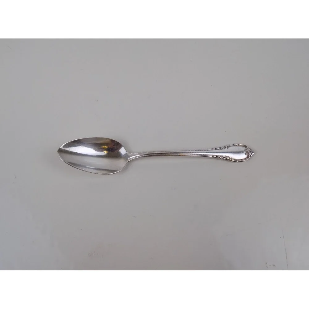 1847 Rogers Bros Remembrance TEASPOON Spoon One (1) International Silver Plate